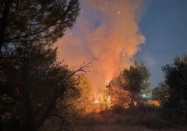 Detenidos dos presuntos autores de varios incendios en Arganda, Moraleja de Enmedio y Humanes de Madrid