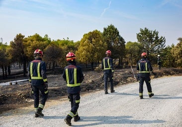 La firma de un nuevo convenio en Tragsa no frena el conflicto en Madrid con los forestales
