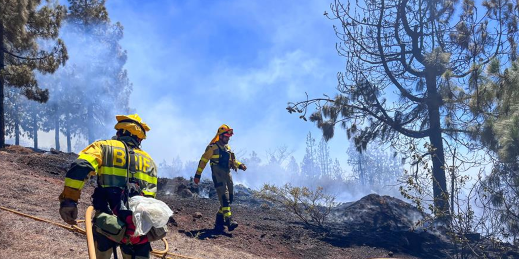 La rápida actuación de vecinos y efectivos en un conato de incendio forestal salva La Palma del desastre