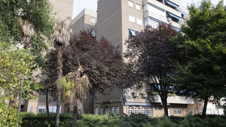 El edificio de Torrejón de Ardoz donde está el piso usurpado