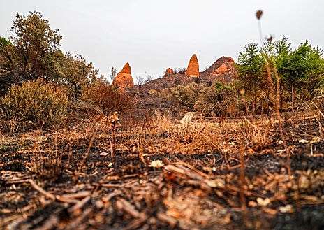Imagen secundaria 1 - Cuando la llama se apaga, los daños siguen. No sólo en un paisaje destrozado, también en las vidas y negocios como las colmenas de Carlos o el bar-restaurante de Marifé, en La Médulas, también en León, una de las provincias más castigadas por el fuego