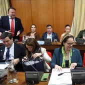 La edil de Hacienda en la bancada del gobierno municipal, antes del inicio del Pleno