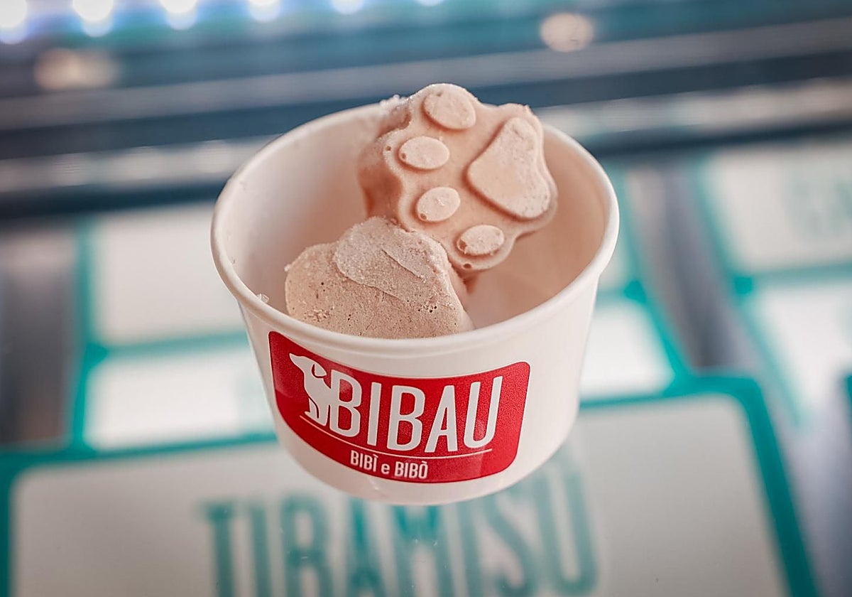 Una tarrina de helado para perros de una heladería Bibí e Bibó