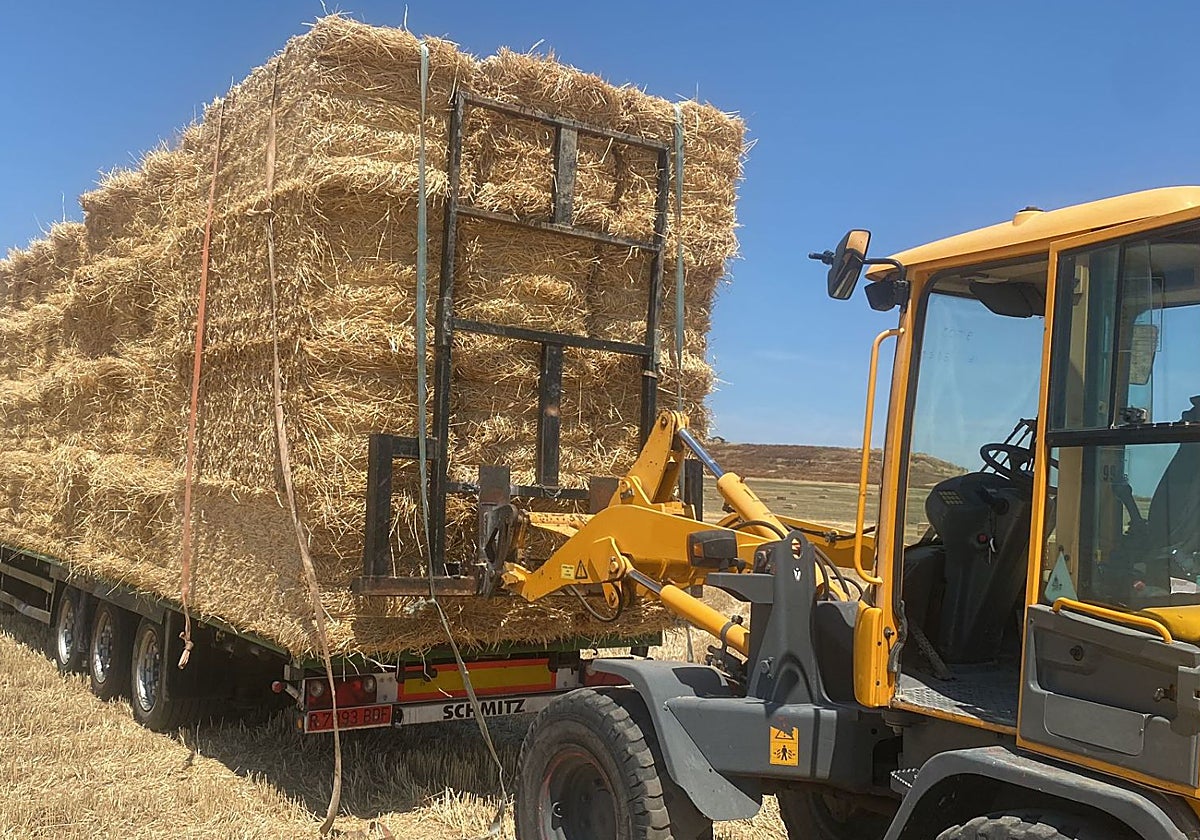 En Rielves, Toledo, los agricultores están organizando la donación de  pacas de paja
