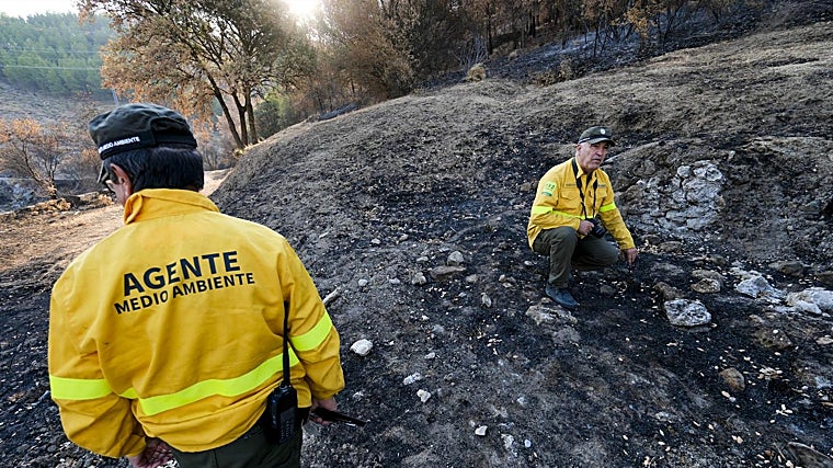 Los agentes de Medio Ambiente rastrean cada palmo del incendios buscando su origen