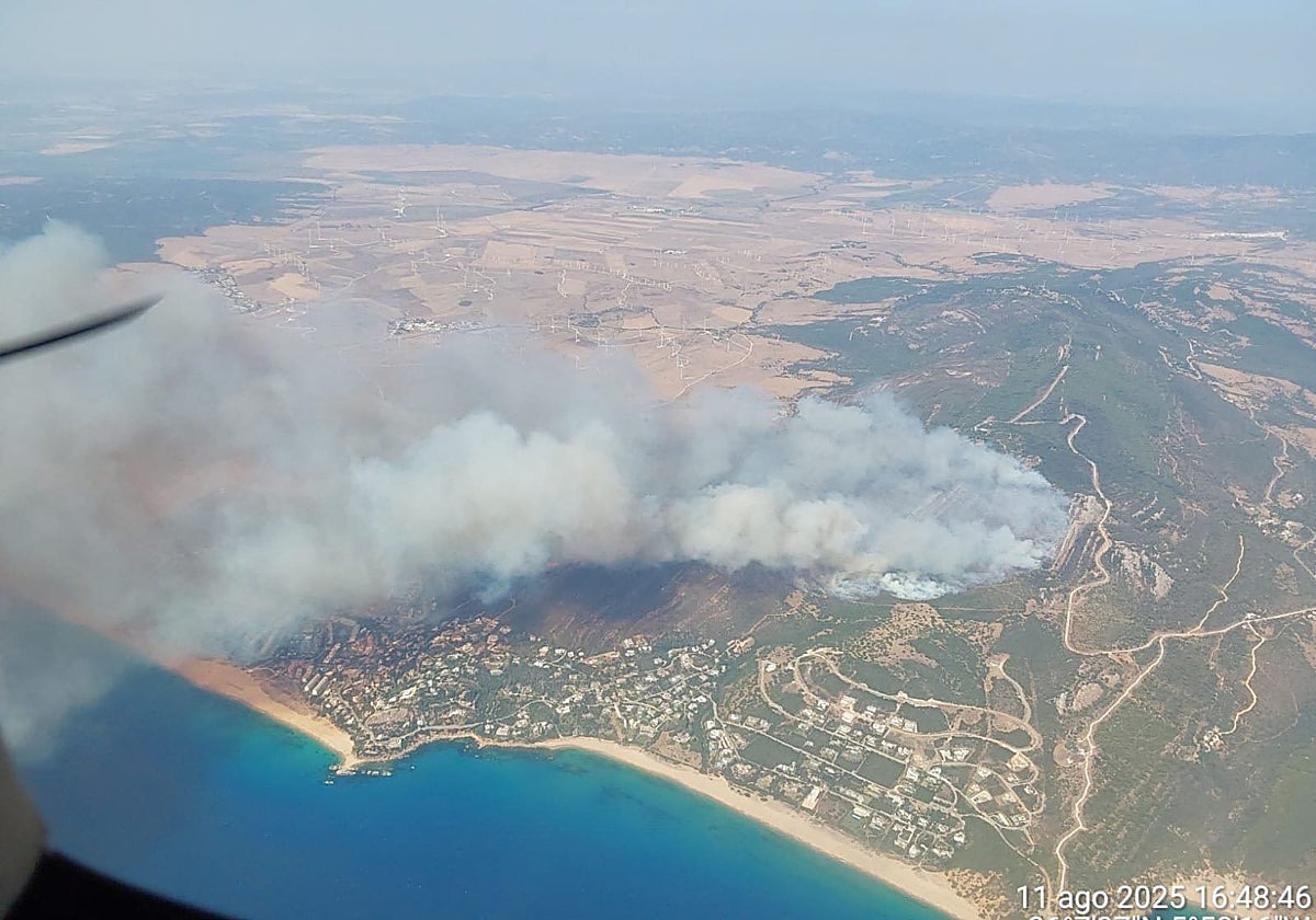 Los incendios de Andalucía, en cifras: 651 incendios y 5.090 hectáreas quemadas