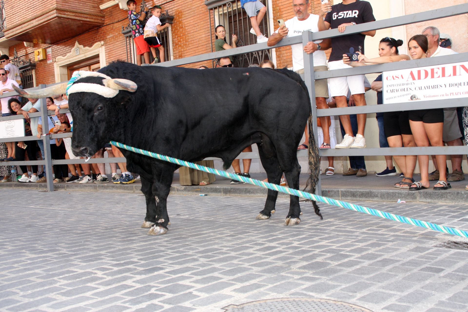 El emocionante Toro de Cuerda de Carcabuey, en imágenes