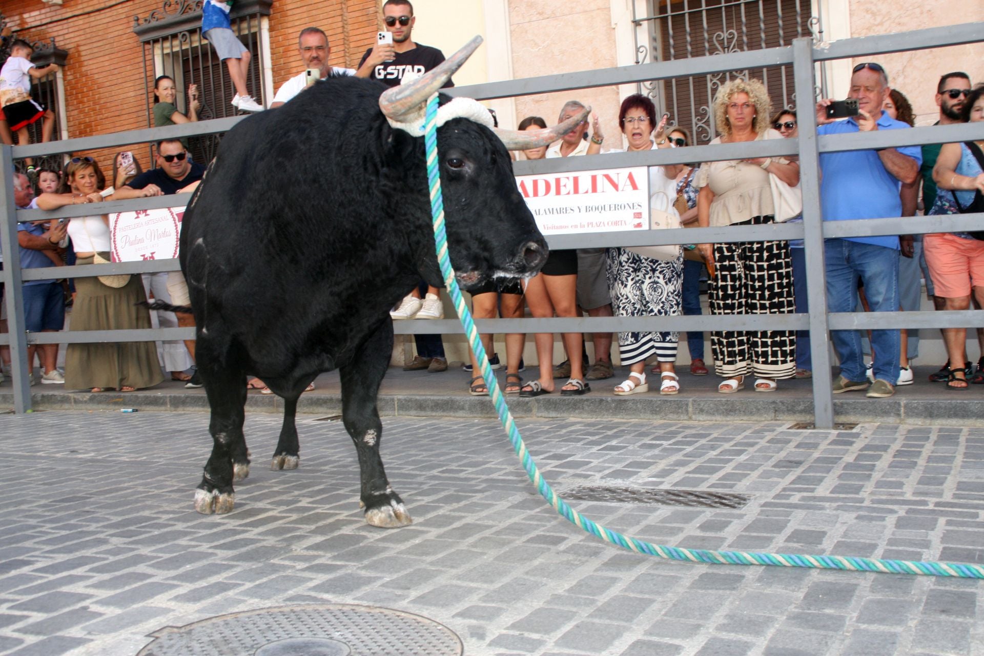 El emocionante Toro de Cuerda de Carcabuey, en imágenes