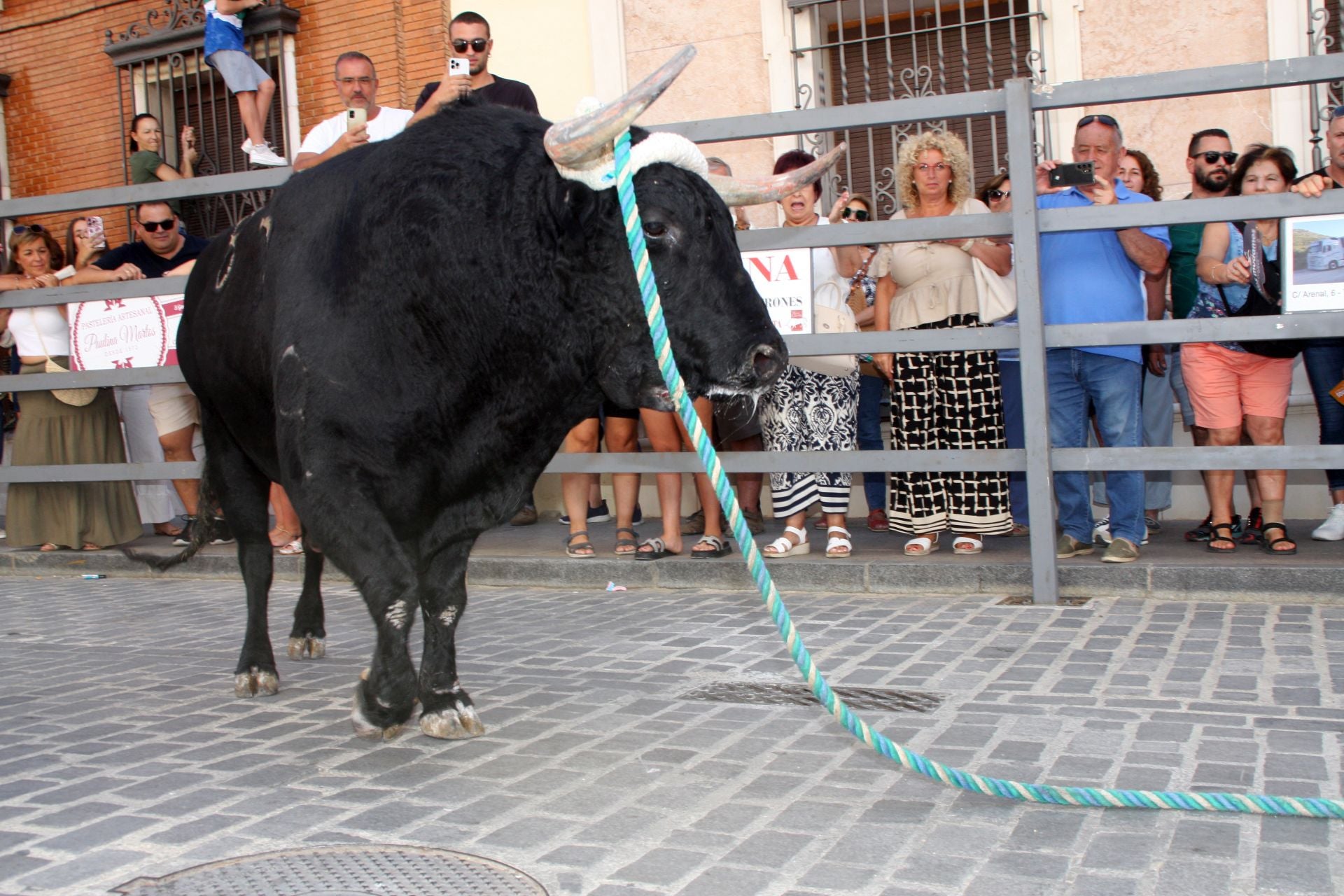 El emocionante Toro de Cuerda de Carcabuey, en imágenes