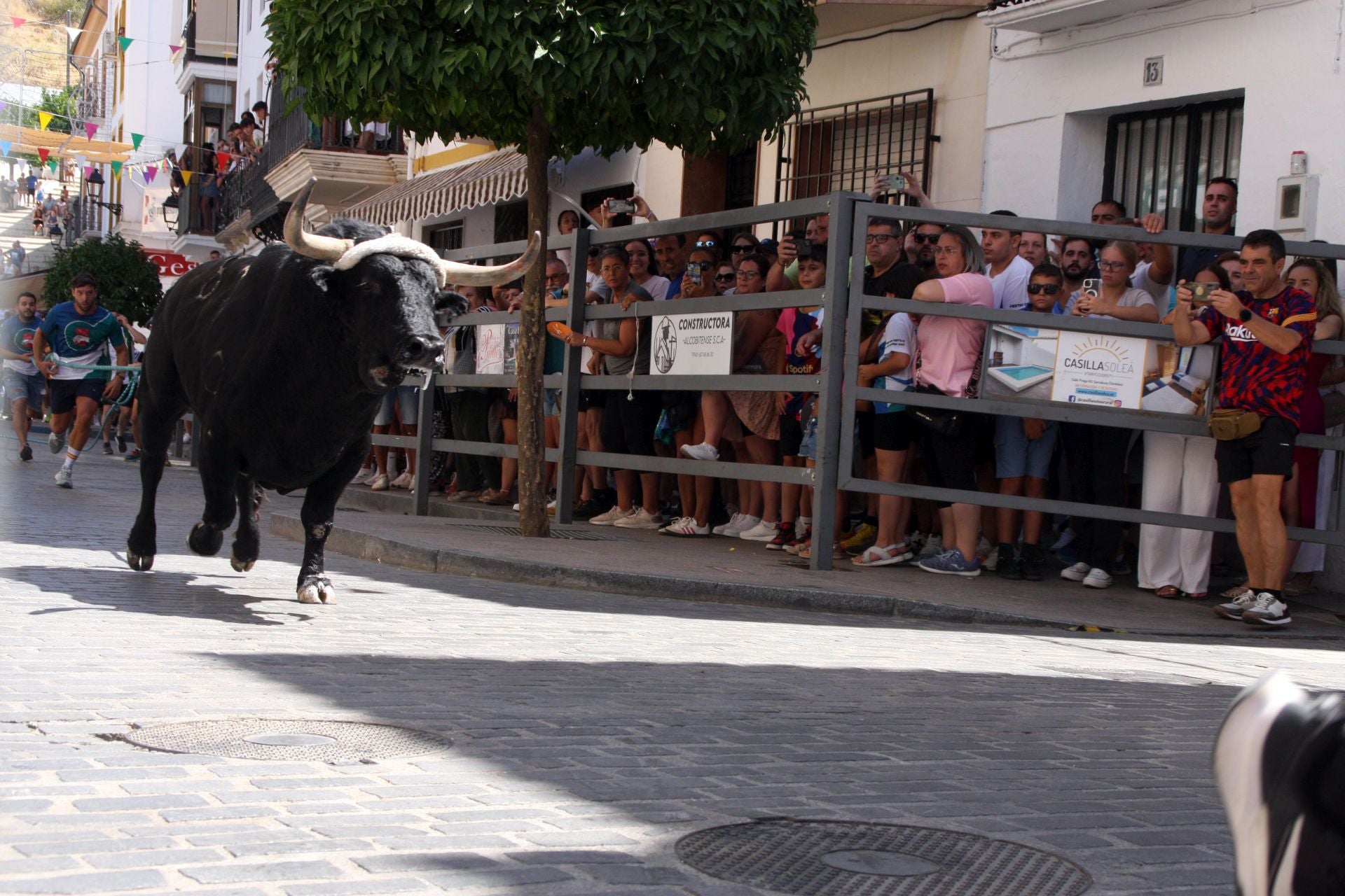 El emocionante Toro de Cuerda de Carcabuey, en imágenes