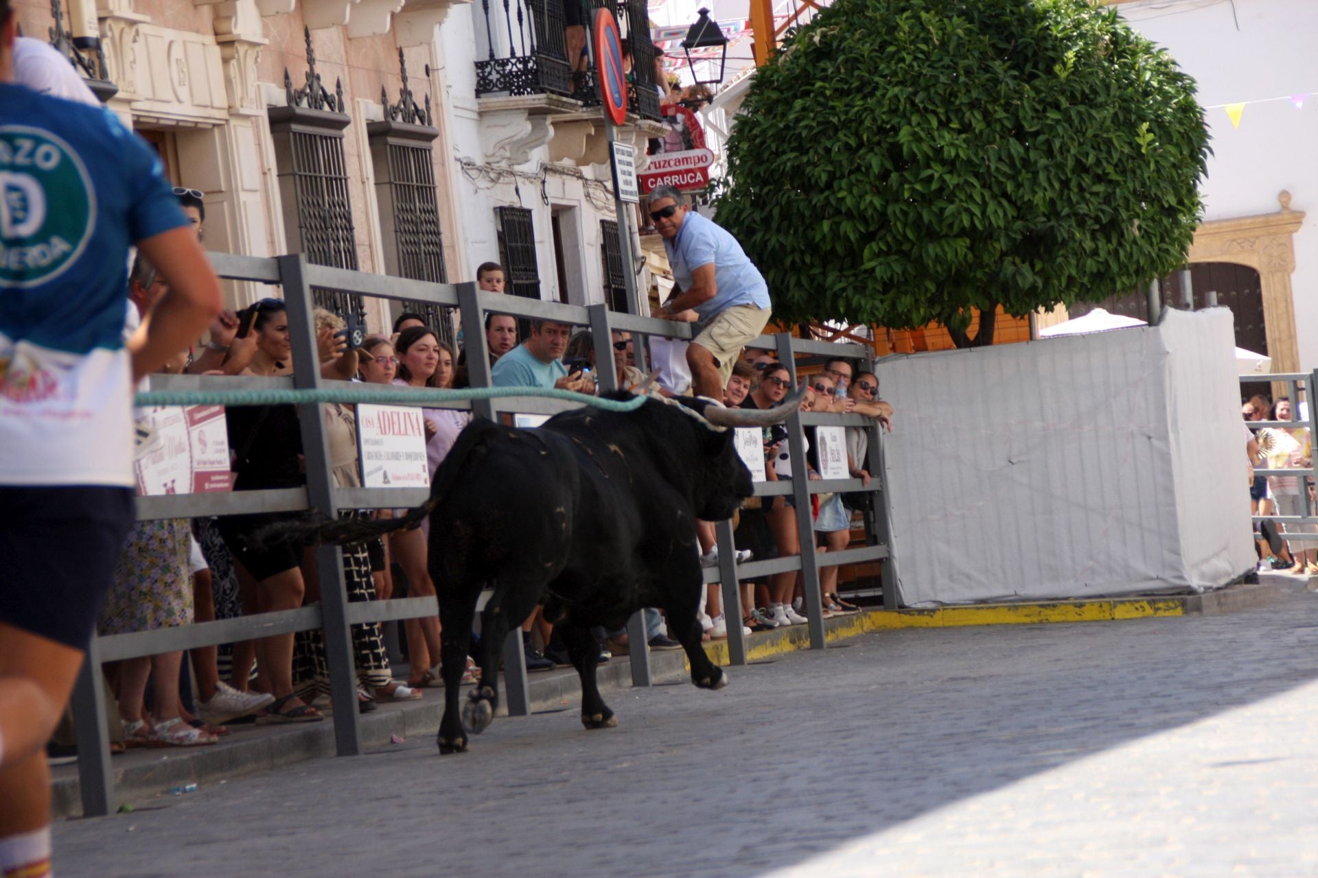 El emocionante Toro de Cuerda de Carcabuey, en imágenes