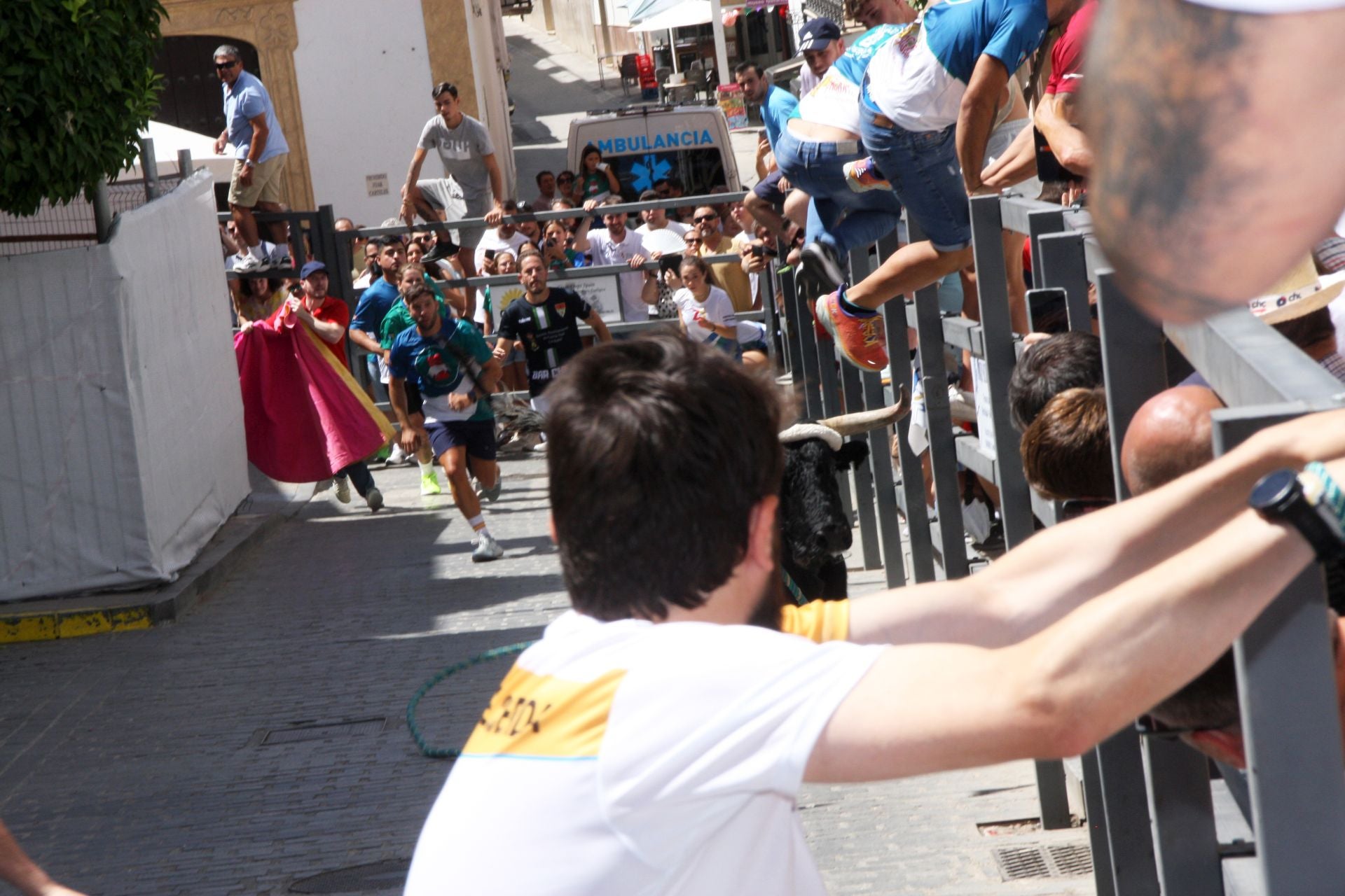 El emocionante Toro de Cuerda de Carcabuey, en imágenes