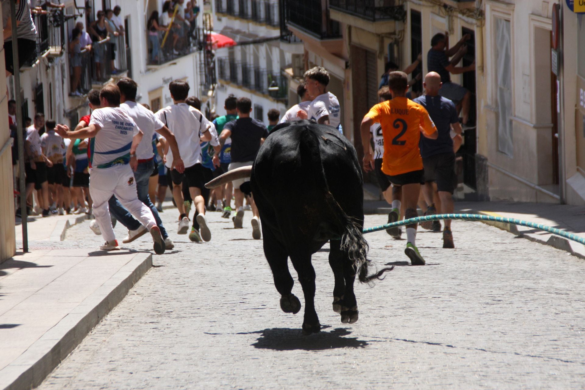 El emocionante Toro de Cuerda de Carcabuey, en imágenes