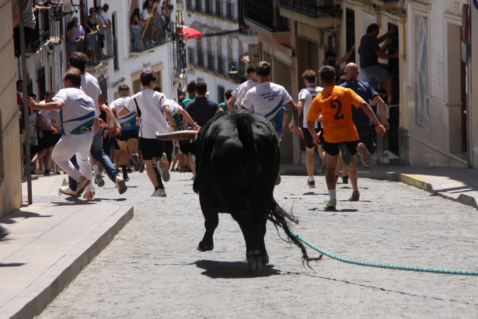 El emocionante Toro de Cuerda de Carcabuey, en imágenes