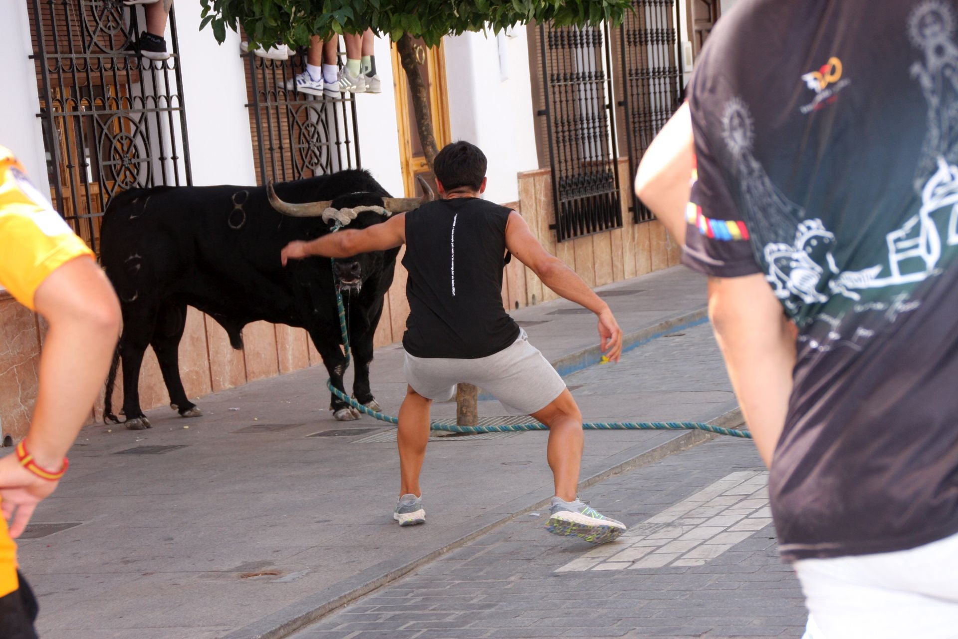 El emocionante Toro de Cuerda de Carcabuey, en imágenes