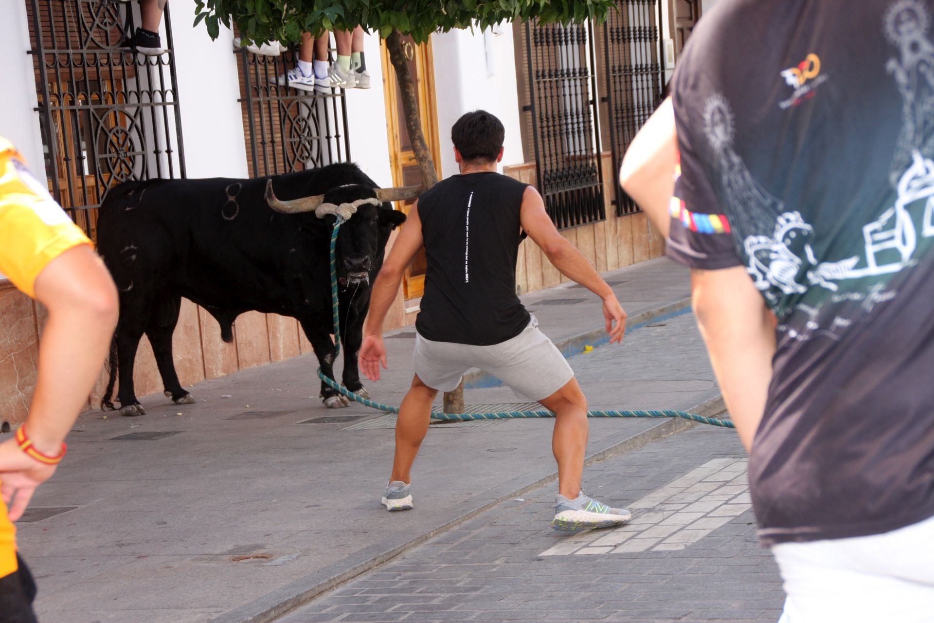 El emocionante Toro de Cuerda de Carcabuey, en imágenes
