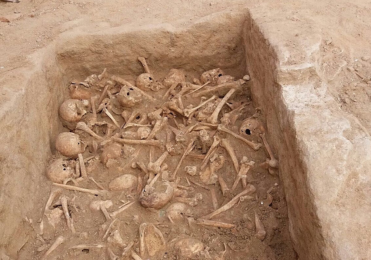 Los cráneos localizados en 2017 durante unas obras