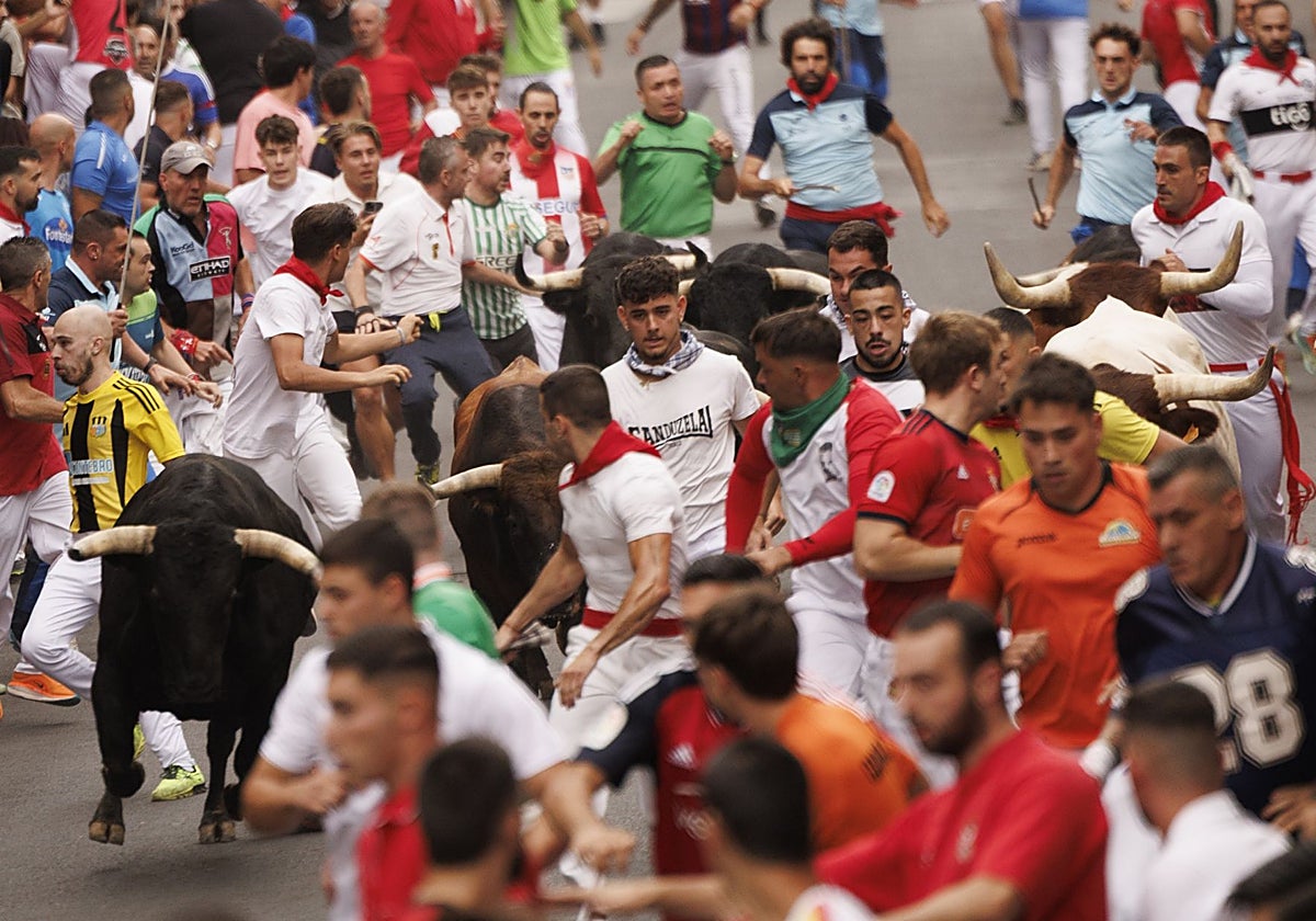 Primer encierro de San Sebastián de los Reyes, con toros de La Palmosilla