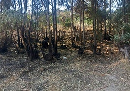Un detenido por originar un fuego en el pueblo granadino de Órgiva al lanzar petardos y cohetes en un cumpleaños