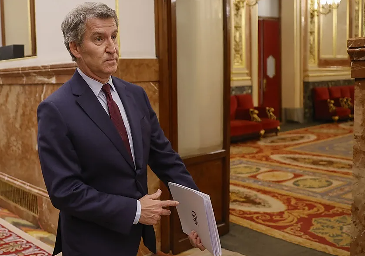 Feijóo propone crear un registro nacional de pirómanos para atajar los incendios intencionados