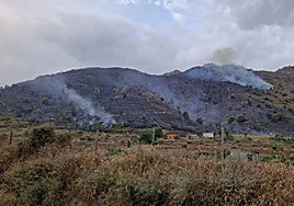 Granada vive su segundo incendio forestal del verano, éste en la sierra de Alhama