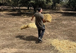Reparten 600 kilos de comida y 40.000 litros de agua a la fauna afectada por el incendio de Tres Cantos