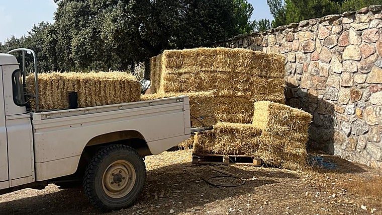 Un camión deja alpacas de pasto en el Soto de Viñelas