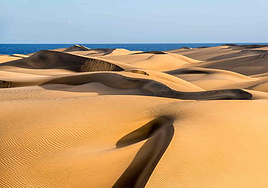 Hasta 300 personas al día se saltan la protección de las Dunas de Maspalomas (Gran Canaria)