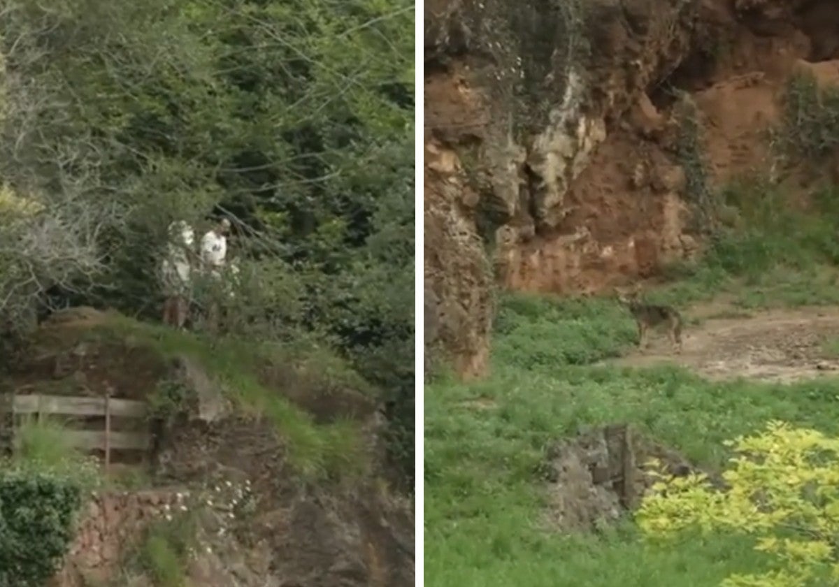 La familia dentro del recinto del Parque de la Naturaleza de Cabárceno