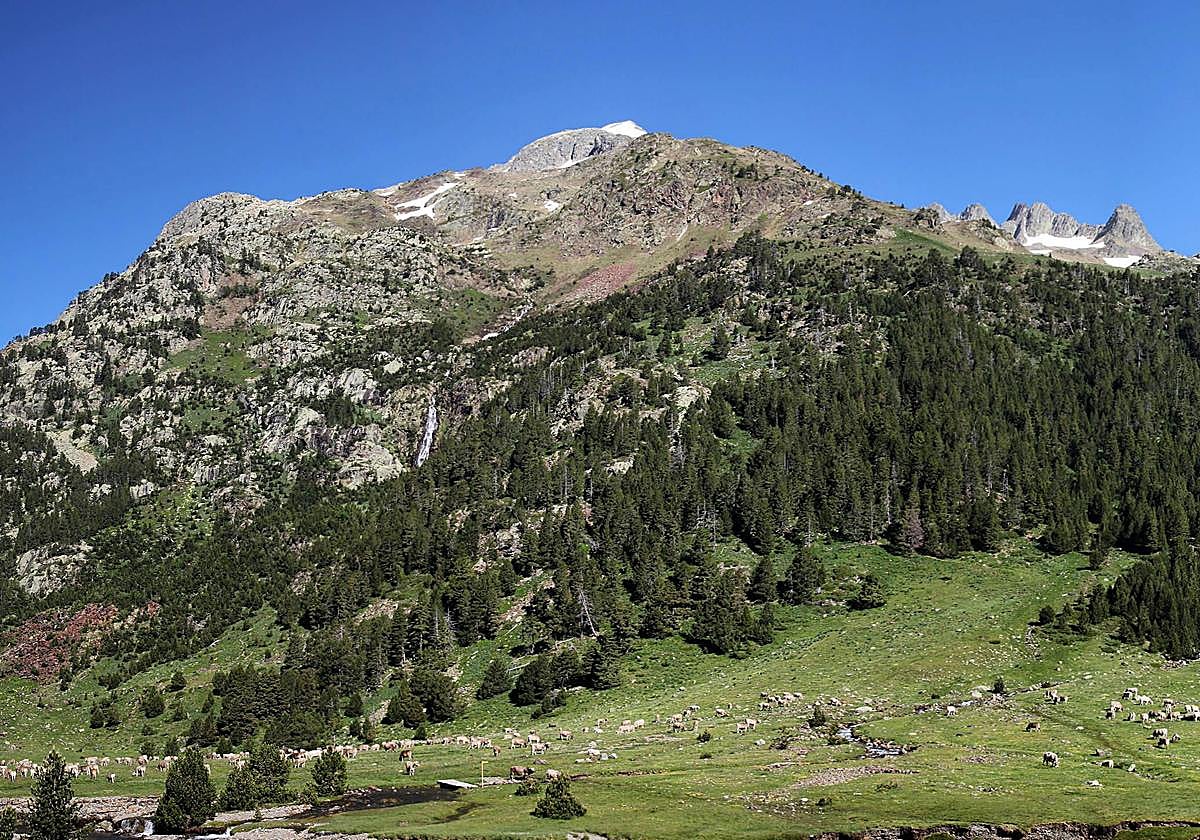 Localizado muerto en el Parque Natural de Posets-Maladeta