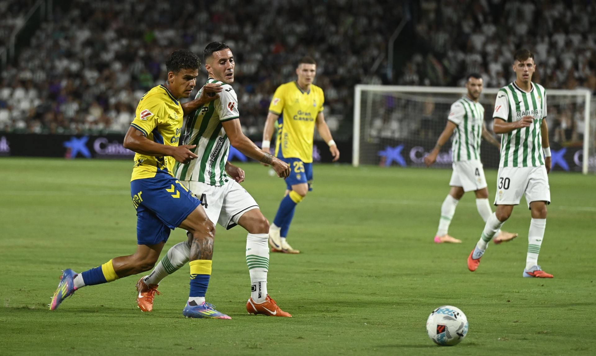 La dolorosa derrota del Córdoba ante Las Palmas, en imágenes
