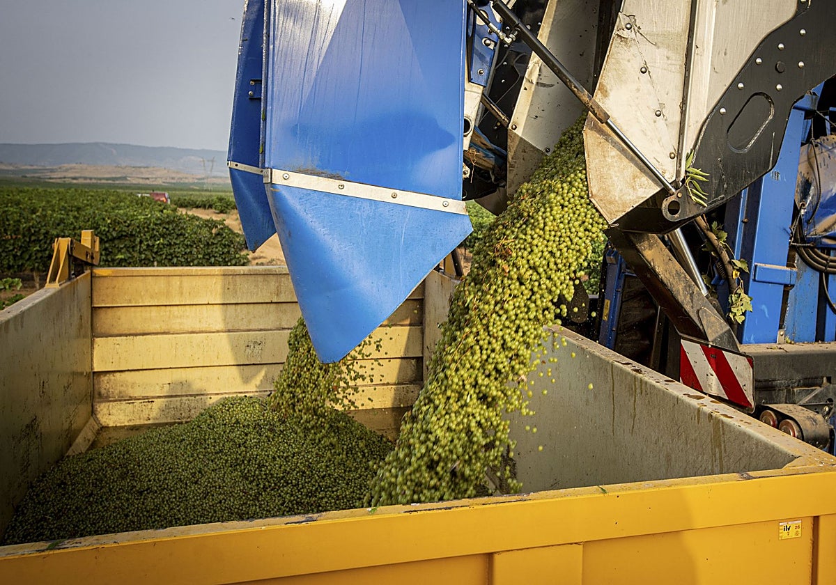 La disputa viene por el arreglo de los caminos rurales del municipio vitivinícola