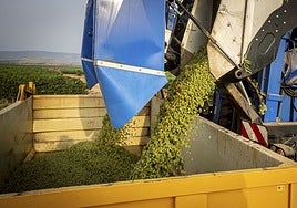 El PP secundará en Méntrida (Toledo) el plantón de los agricultores a la Feria del Vino