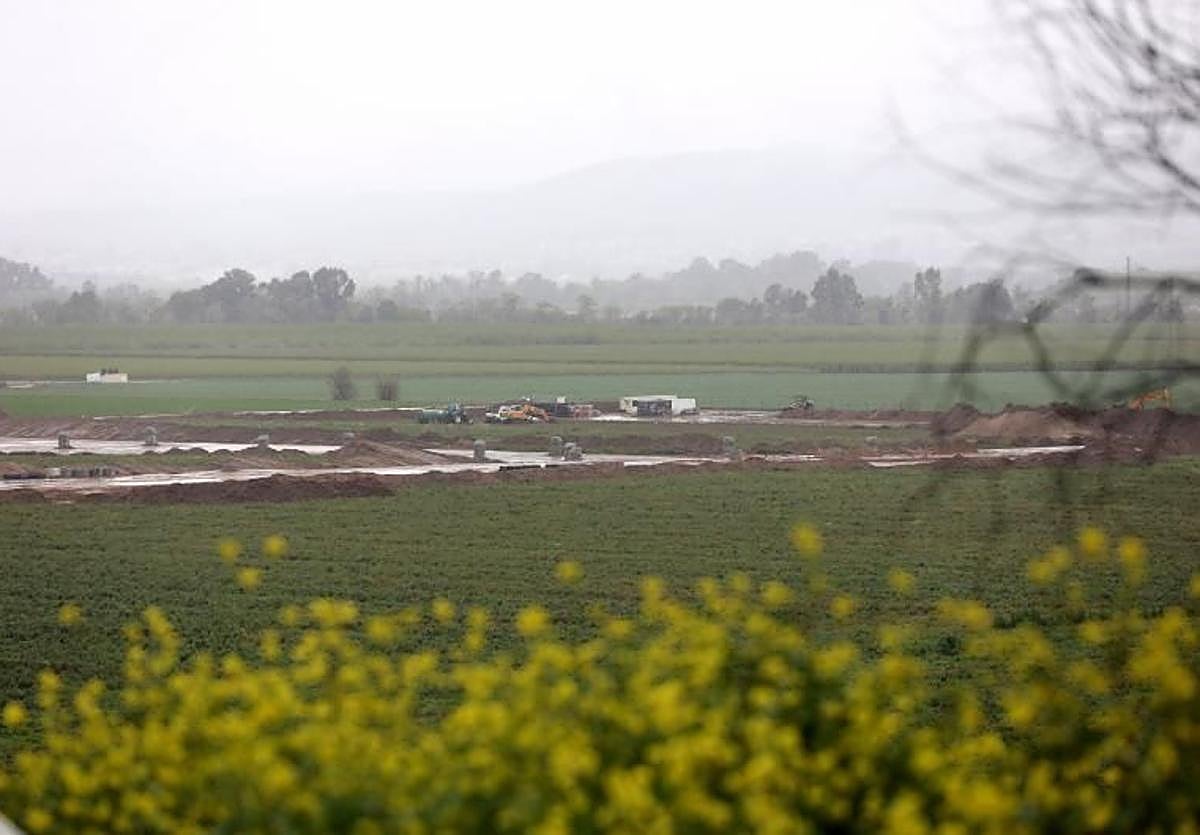 Terrenos de la futura Base Logística del Ejército de Tierra en Córdoba