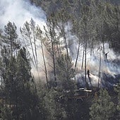 Valderrama comparece el próximo lunes en Les Corts para dar cuenta de la gestión de los incendios forestales del verano