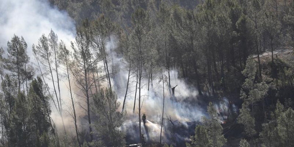 Valderrama comparece el próximo lunes en Les Corts para dar cuenta de la gestión de los incendios forestales del verano