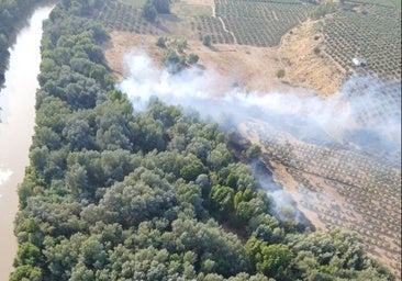 El Infoca logra estabilizar un incendio en Villa del Río