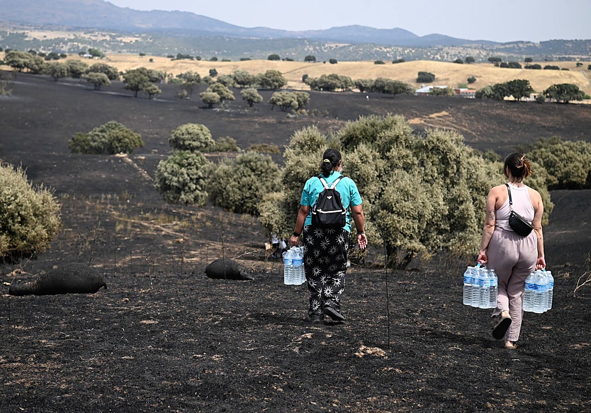 Dos mujeres cargando con botellas de agua en la zona arrasada por las llamas en Tres Cantos