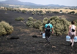 Bronca entre Ayuso y el delegado del Gobierno por las zonas catastróficas de los incendios forestales