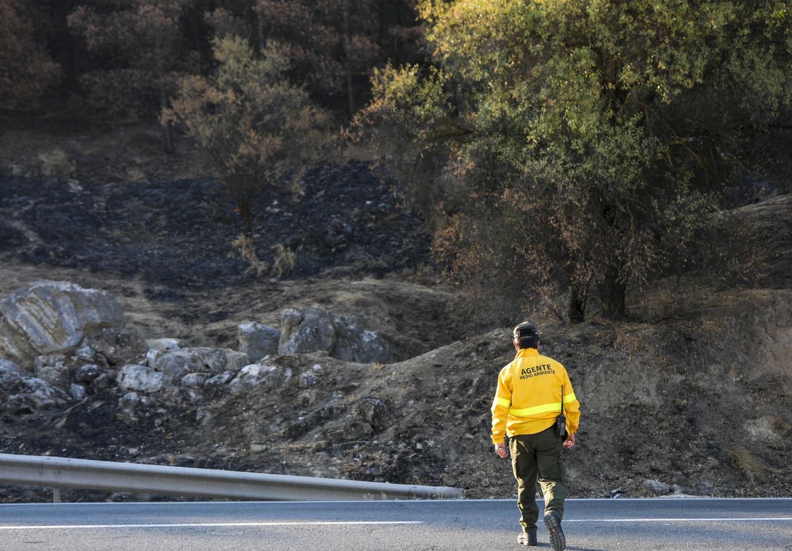 Dos pirómanos enviados a prisión este verano en Málaga