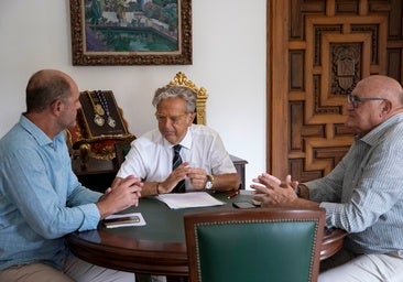 La Diputación advierte de la delicada situación de los viñedos en Córdoba por la plaga del mildiu