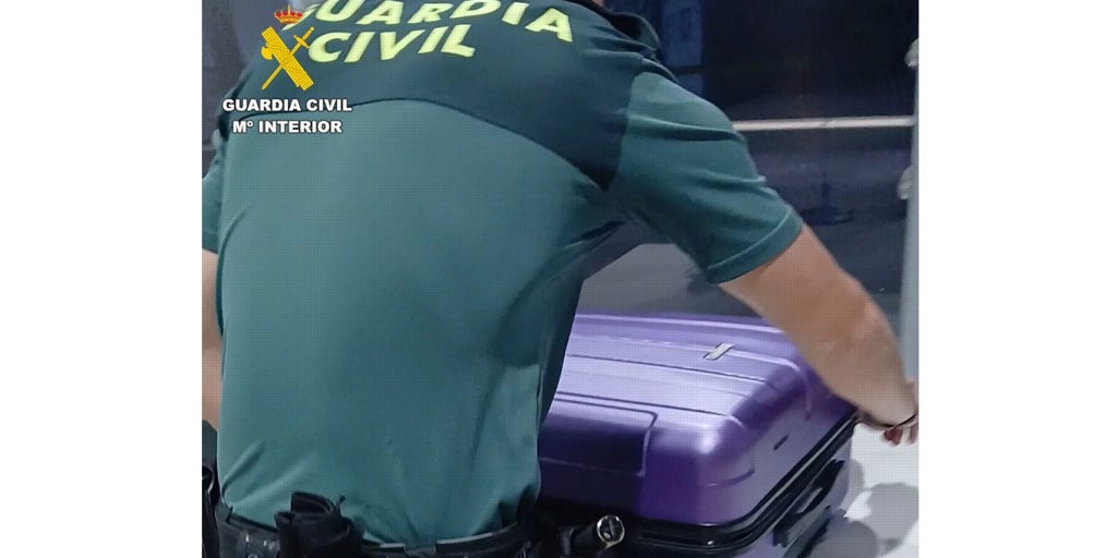 Intervienen 20 kilos de marihuana a dos hombres de actitud «sospechosa» que querían llevarla de Valencia a Frankfurt