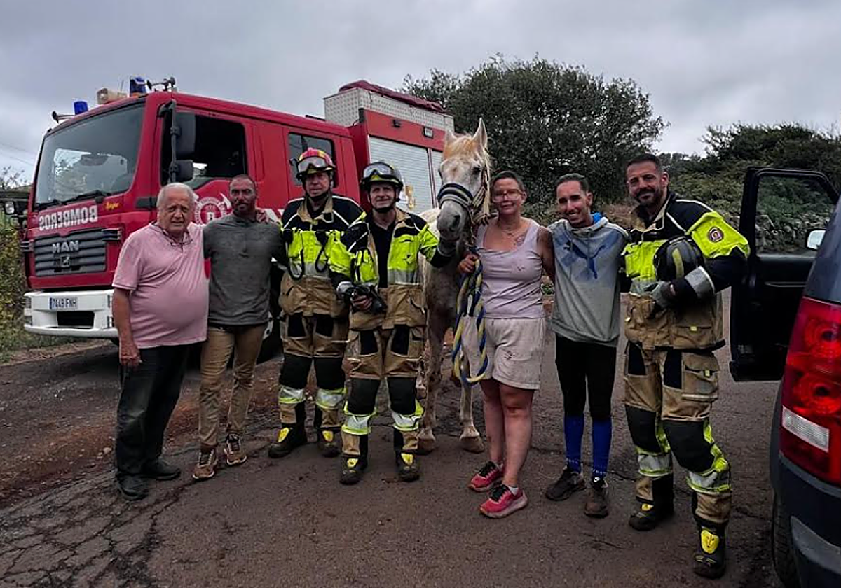 Rescate sano y salvo de un caballo que cayó a un barranco en Tenerife