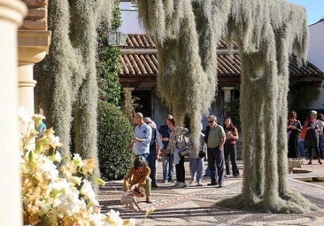 Flora 2025: conoce los patios de Córdoba que acogerán el arte floral este octubre