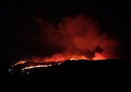 160 efectivos y nueve vehículos autobombas combaten el fuego de Lubrín en Almería