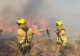 Page muestra su apoyo al Infocam por el trabajo realizado en los incendios de este verano
