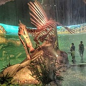 Más de 50.000 visitantes este verano en Dinópolis, pero un 8% menos que en el de 2024