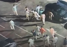 Identifican a cinco menores como presuntos autores de una violenta agresión en Puerto Sherry