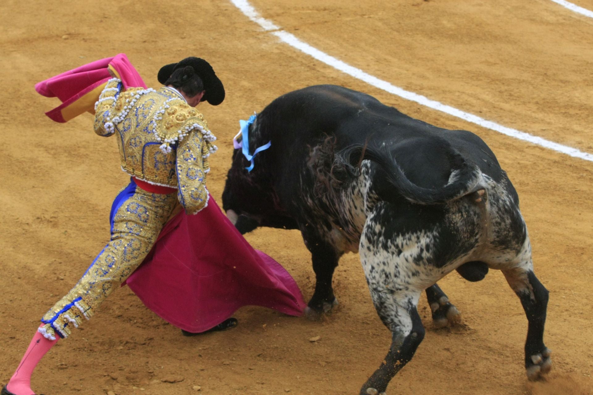 La gran corrida de toros de Priego, en imágenes