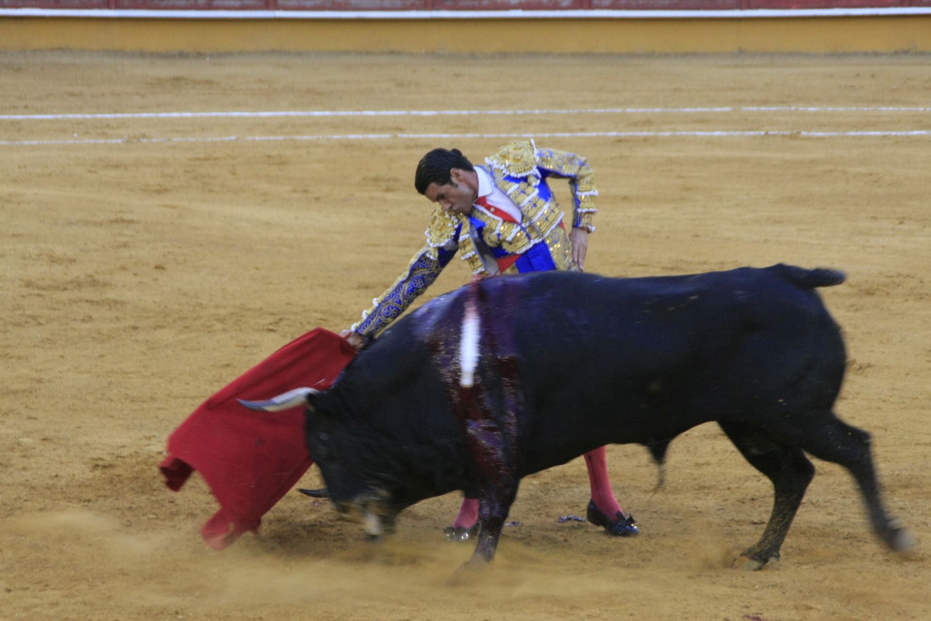 La gran corrida de toros de Priego, en imágenes